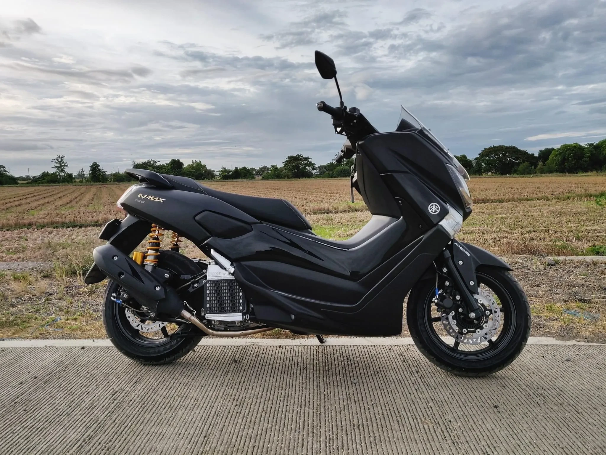 img/3146_yamaha-nmax-diecast-models-a-collectors-dream.webp