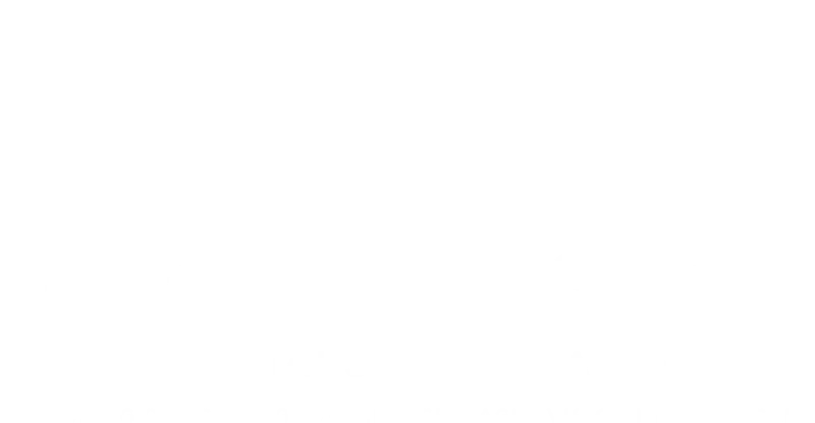 Eagle Vision diecast 1/24 scale