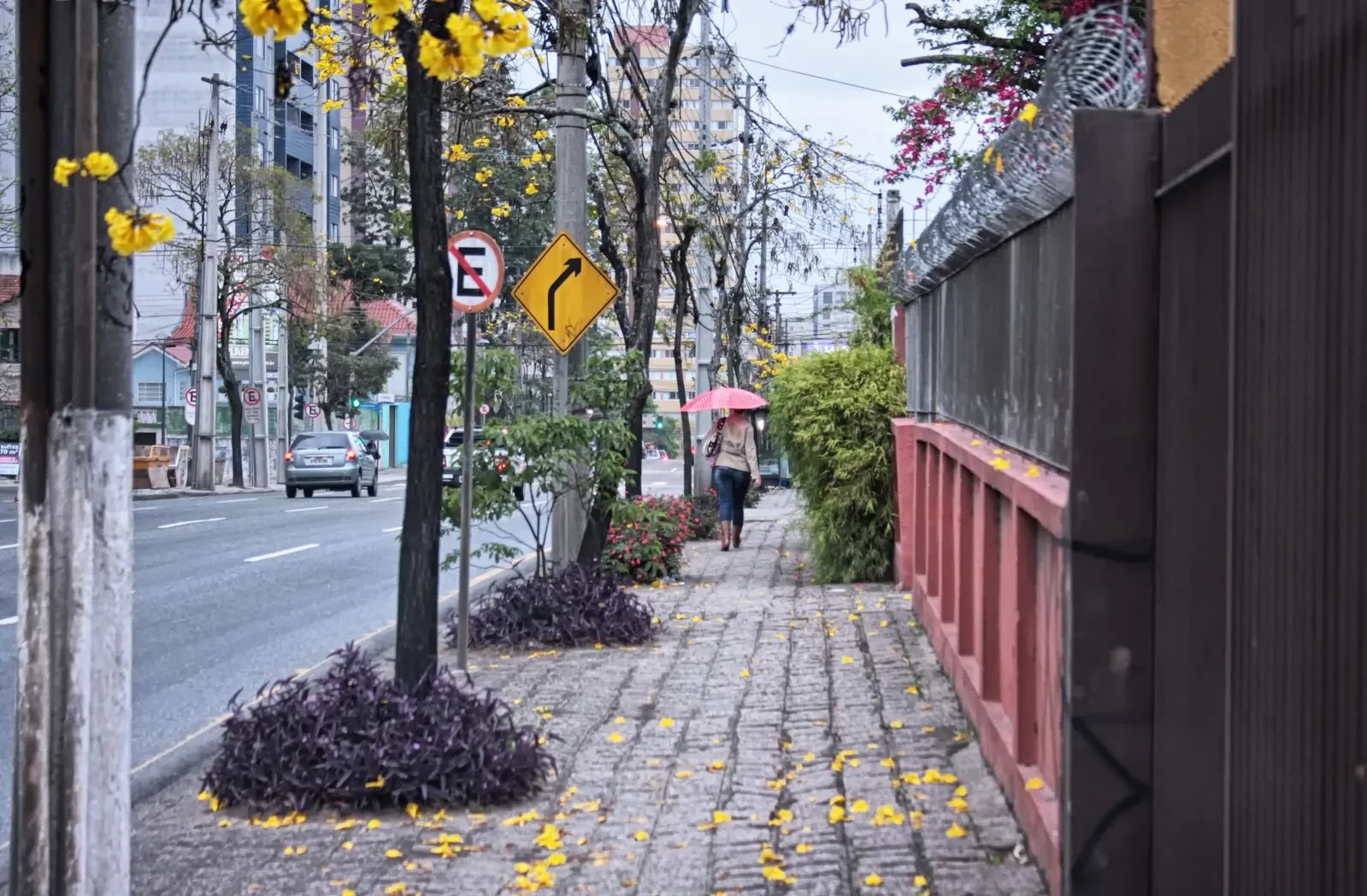curitiba street scene