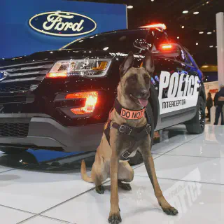 img/3240_ford-police-interceptor-utility-diecast-a-collectors-dream.webp